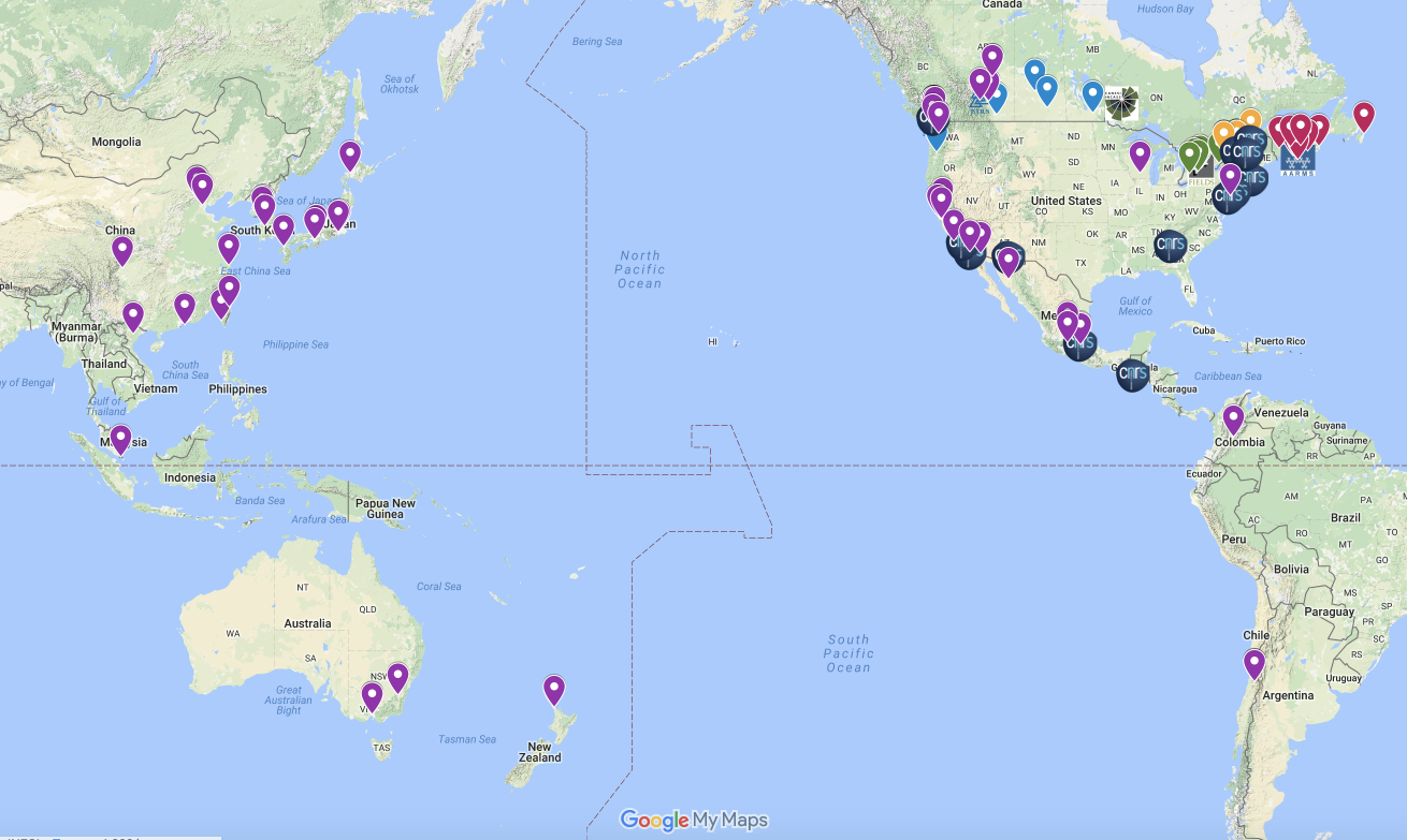 pims-umi-prima-network